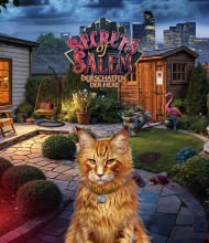 Wimmelbild-Spiel: Secrets of Salem: Der Schatten der Hexe