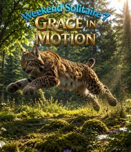 Solitaire-Spiel: Weekend Solitaire 7: Grace in Motion