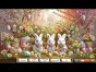 Wimmelbild-Spiel: Jixo: Summer Dreams Sammleredition