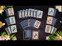 Wimmelbild-Spiel: Twistingo: Bird Paradise Sammleredition